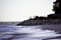 DSC05407