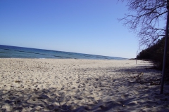 DSC06356