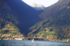 DSC08639