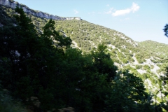 DSC08669