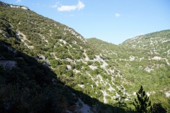 DSC08671