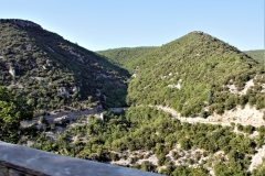 DSC08675