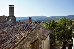 DSC08696