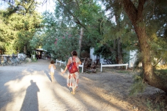 DSC08801