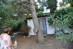 DSC08802