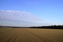 DSC09257