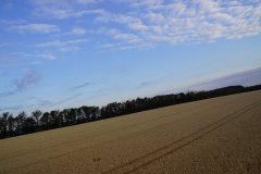 DSC09258