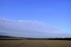 DSC09262