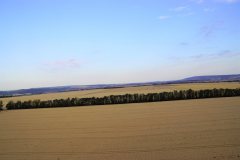 DSC09264