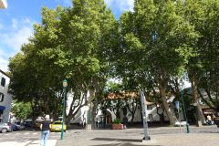 DSC07396