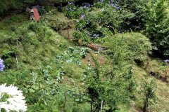 DSC07484