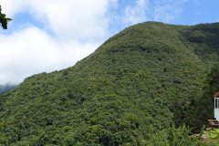 DSC07486