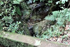 DSC07494