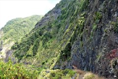 DSC07558
