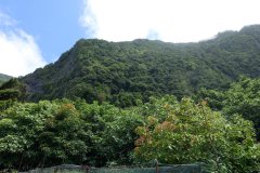 DSC07566