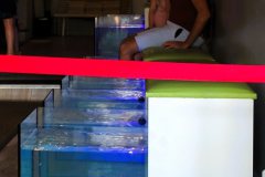 DSC08060