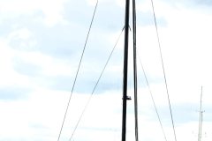 DSC07912