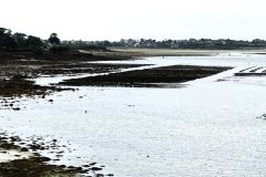 DSC07926