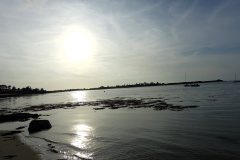 DSC07939