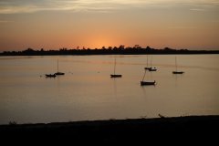 DSC07960