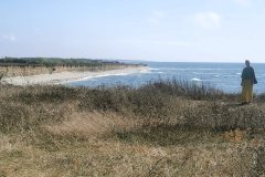 IMG_20240901_154417