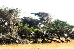 IMG_20240901_154712