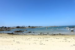DSC07967