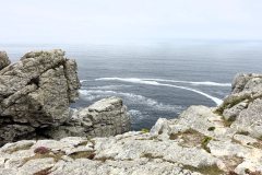 DSC08000