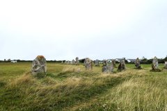 DSC08009