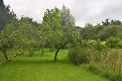 WP_20180815_12_40_32_Pro