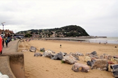 DSC04950