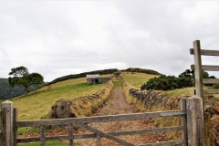 DSC04954