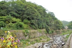 DSC04964