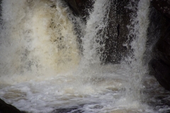 DSC04665