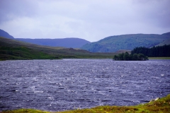 DSC04681