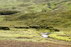 DSC04684