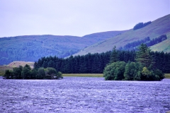 DSC04686