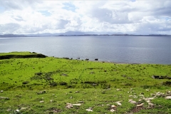 DSC04730
