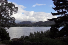 DSC04753