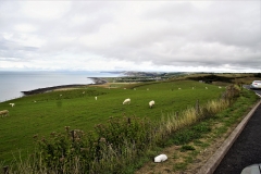 DSC04825