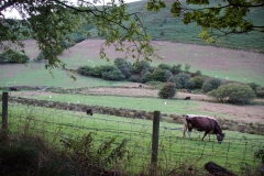 DSC04830
