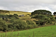 DSC04835