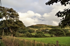 DSC04836