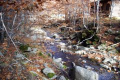 1_DSC09478