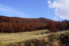 1_DSC09479