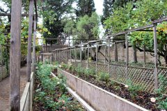 1_DSC09537