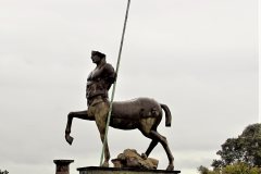 1_DSC09571