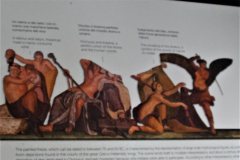 1_DSC09597c