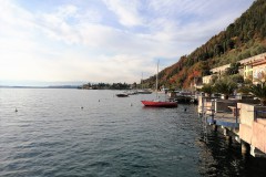 IMG-20211110-WA0002