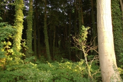 07-2005urlaubkoserow-005